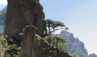 黄山四绝是什么 黄山四绝是什么