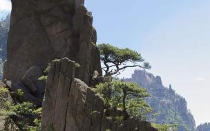 黄山四绝有哪四绝 黄山四绝是什么各自有什么特点